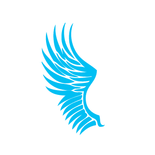 47soliders's emblem