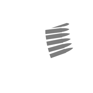 CraBx755's emblem
