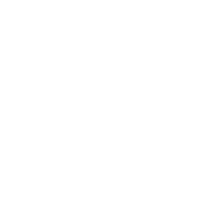 macro_dvl's emblem