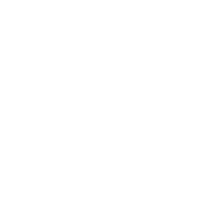 ThatWyrmhole's emblem