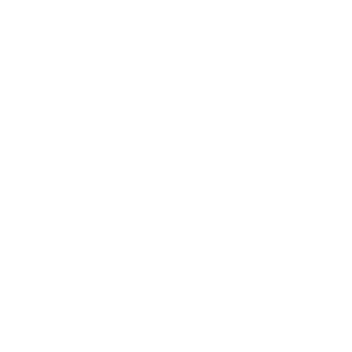 1Kasino's emblem