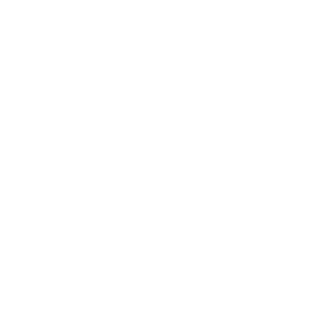 Metslane's emblem