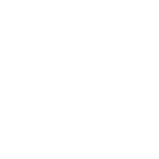 lesiu09's emblem
