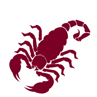 -LEONIDblCH-'s emblem