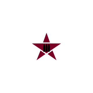 icegrafx's emblem