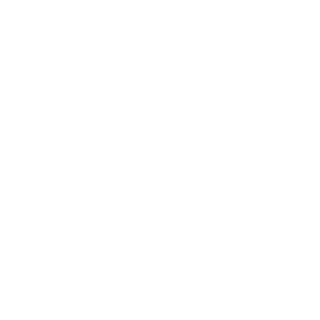 batonoid's emblem