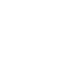 Vania2T's emblem
