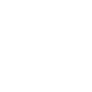 Dragynov28's emblem