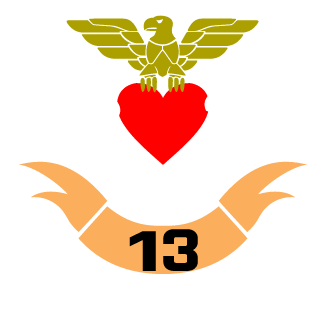 InsaneSaro's emblem