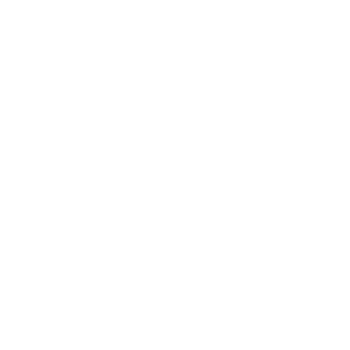 DaMaster2010's emblem