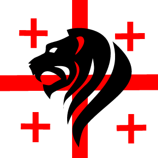 GabrielShelia's emblem
