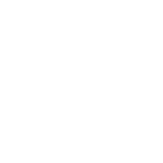 Sebas_3063's emblem