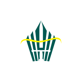 Rayquaza_RKN's emblem