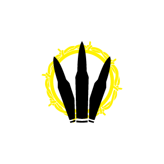 mrnoobishh's emblem