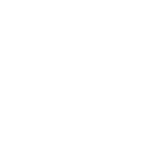 Stratofied's emblem