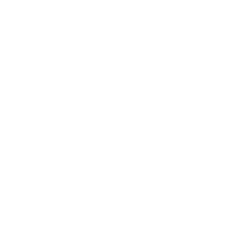 renansouzakcoal's emblem
