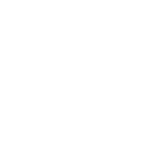 Brandemonio's emblem