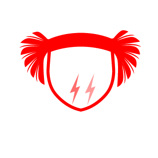 Baykus0200's emblem