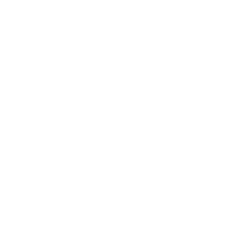 lz-Animenzzz's emblem