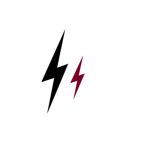 SgtRoidz's emblem