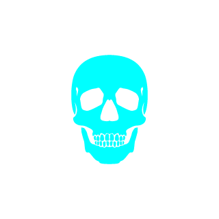 97blackburn's emblem