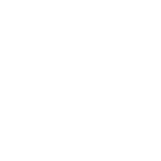LT_Bravo346's emblem