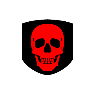 American117's emblem