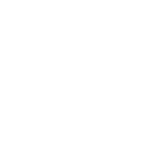 thesmartdutchman's emblem