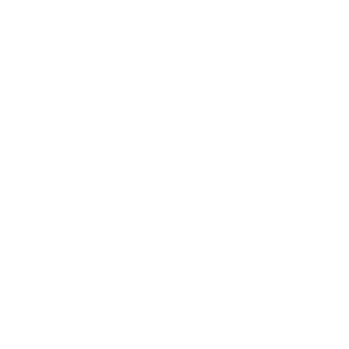 Schmidtli1210's emblem