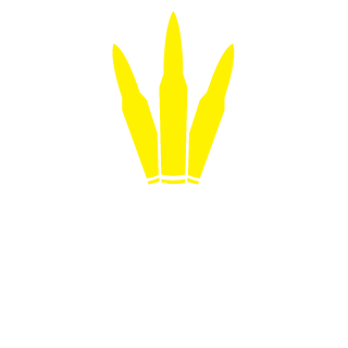 ramonhimself's emblem