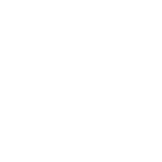 Wevees's emblem