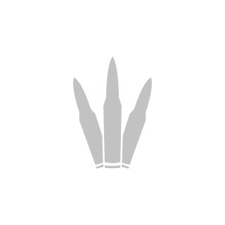 Slim_Proof's emblem