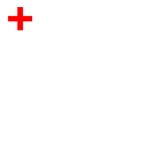 NashActual's emblem