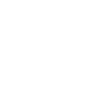 Flick_End_TTV's emblem