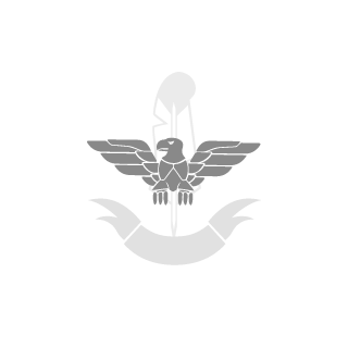 joeamr1524's emblem