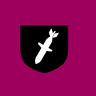 B1NGCH1LL1NG111's emblem