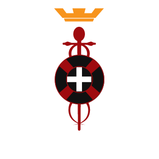 SolidSnke1138's emblem