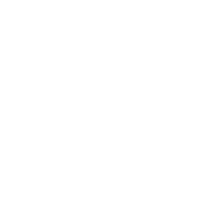 ABS0LUTE KING's emblem