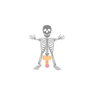 Dr_Blumpskin's emblem
