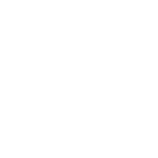 paulo_mohammed's emblem