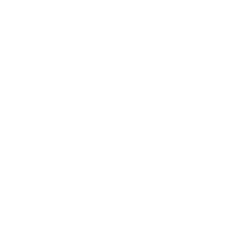 Fabio281's emblem