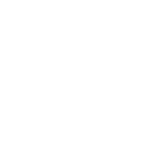 SimpleFamilyGuy's emblem