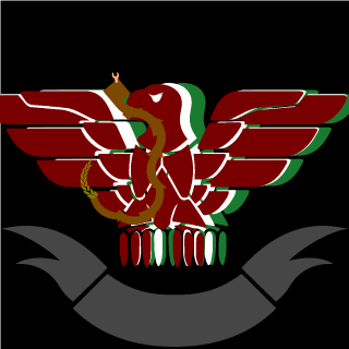 Dark1Snake3's emblem