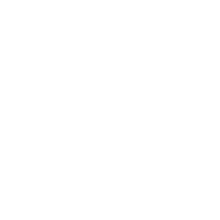 battlenett's emblem