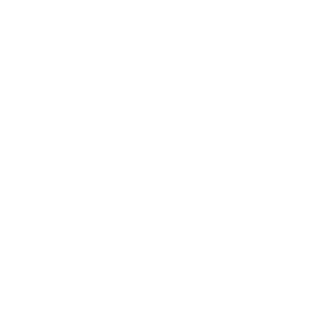 28FireBOY's emblem