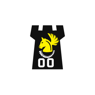 BLEACHNEROIST's emblem