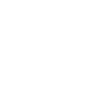 DLX024's emblem