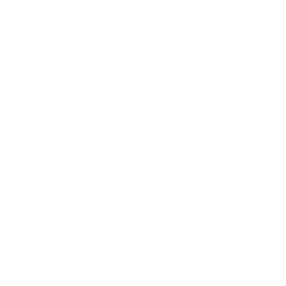 Raypz10's emblem