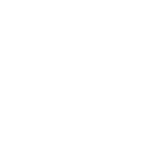 TudelVonStrudel's emblem
