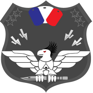 FauconNoir33's emblem